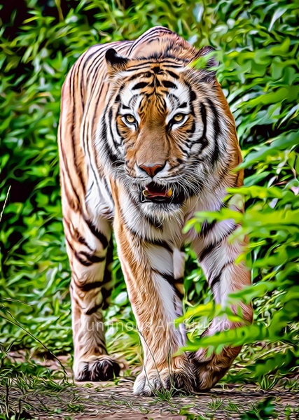 Tiger-Art-020 - Wildlife Illustrations - LuminousLight