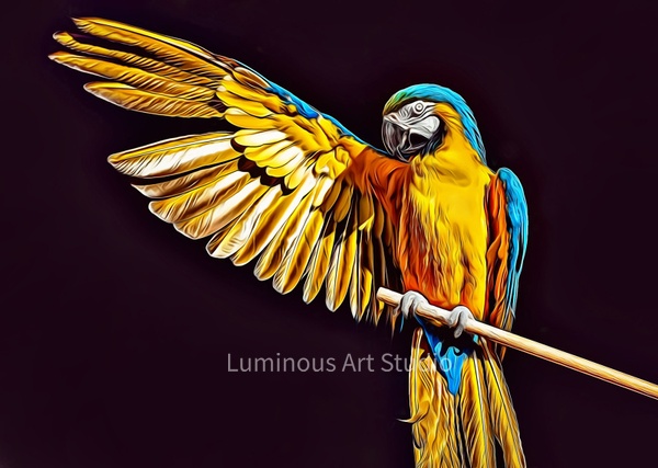 Parrot-Art-053 - Wildlife Illustrations - LuminousLight