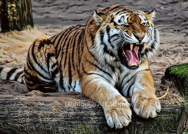 Tiger-Growing-Art-047 - Wildlife Illustrations - LuminousLight 