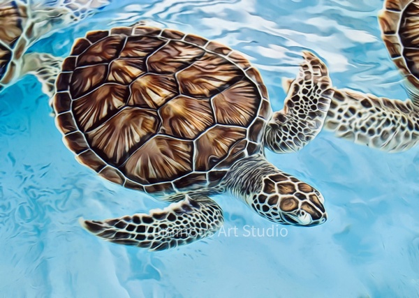 Turtle-Art-045 - Wildlife Illustrations - LuminousLight