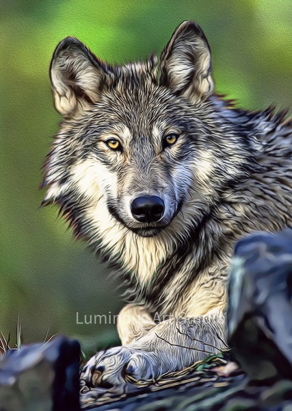 wolf-head-green-summer-002 - Wildlife Illustrations - LuminousLight