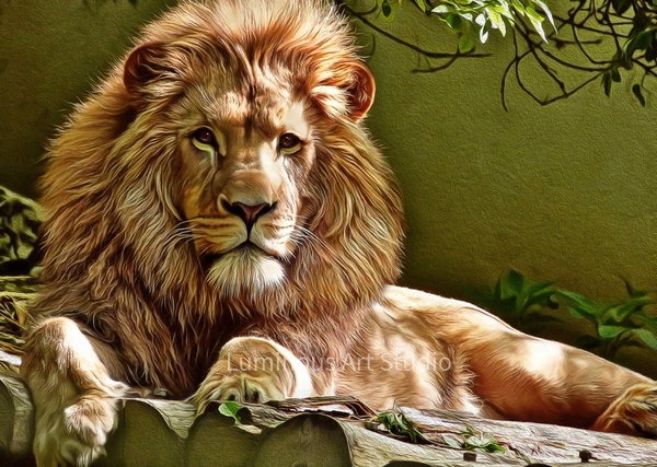 lion-lying-down-02 - Wildlife Illustrations - LuminousLight 