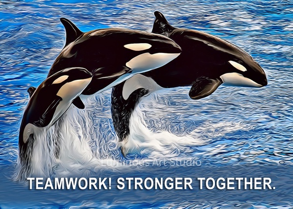 Orca-Whale-family-poster - Wildlife Illustrations - LuminousLight