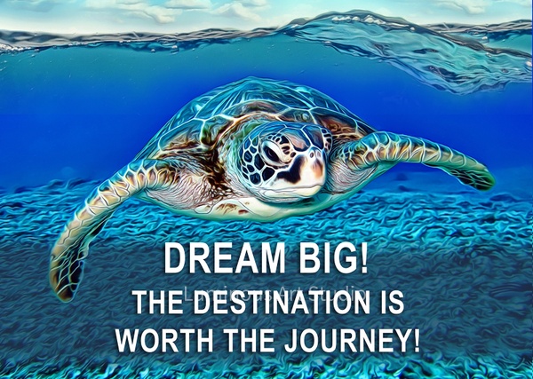 sea-turtle-motivation-poster - Wildlife Illustrations - LuminousLight