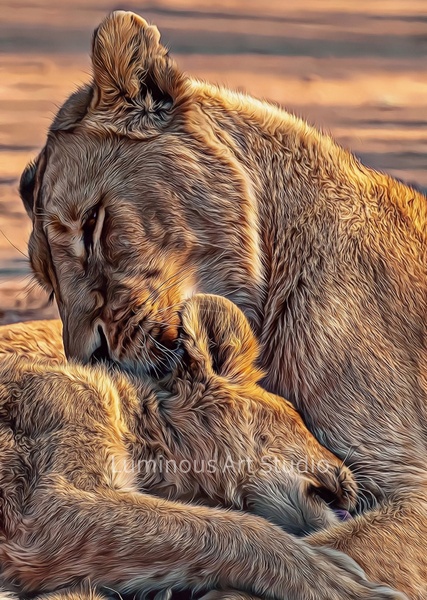Lion-Cub-Momma - Wildlife Illustrations - LuminousLight