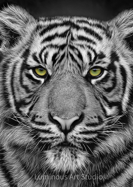 tiger-head-black-white-green-eyes-020 - Wildlife Illustrations - LuminousLight