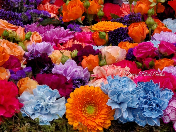 Breezy Blue Flowers - Spring Flowers - Chinelo Mora