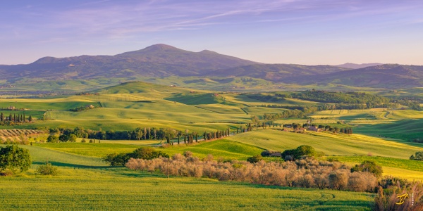 Toscana Landscape, Toscana, Italy, 2022 - BW - Thomas Speck