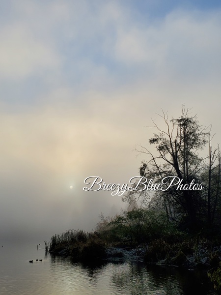 Misty Blue Fog - Landscape - Chinelo Mora 
