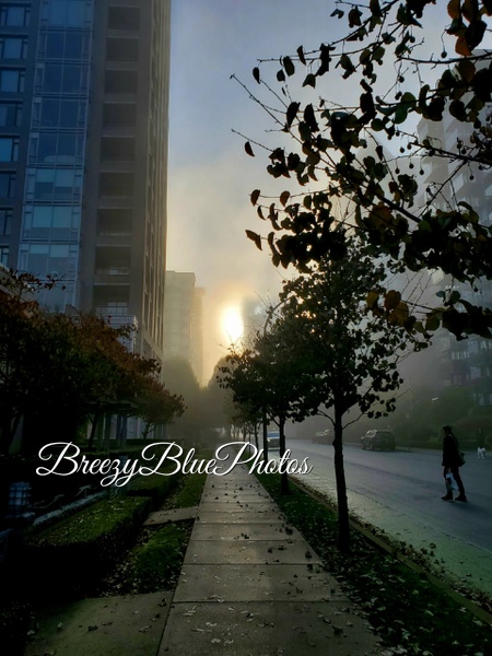 Misty Blue Morning Walk - City Vistas - Chinelo Mora