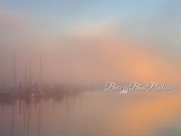 Misty Morning Waters - Ocean Vistas - Chinelo Mora