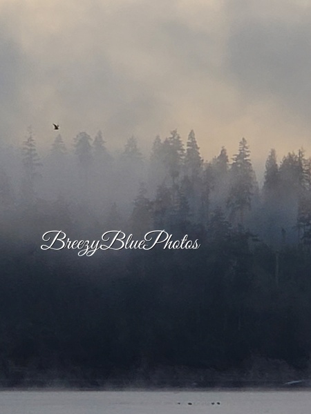 Misty Morning Landscape - Landscape - Chinelo Mora 