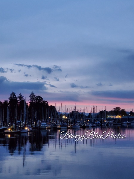 Breezy Blue Vancouver - Ocean Vistas - Chinelo Mora