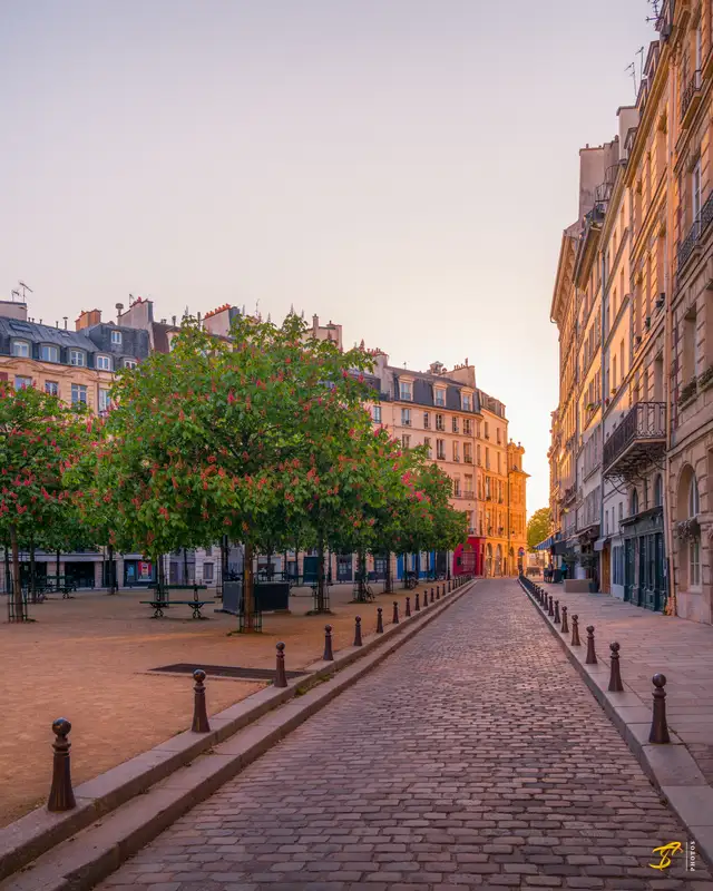 Place Dauphine, Paris, France, 2021