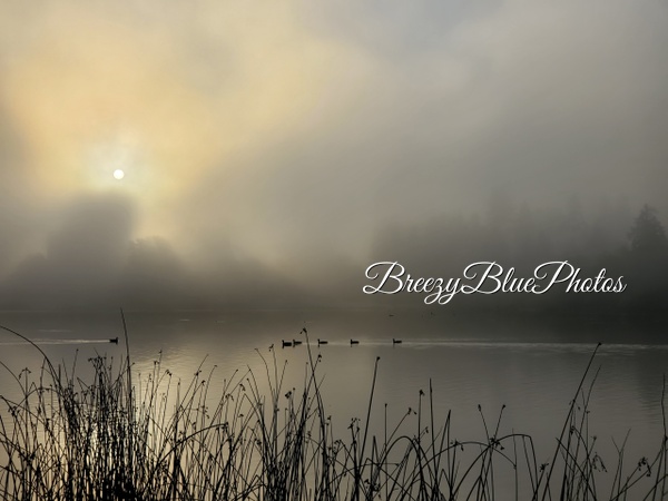 Breezy Blue Fog - City Vistas - Chinelo Mora 
