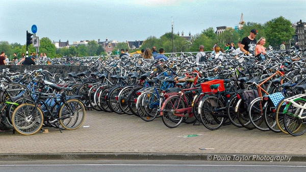 Bicycle Parking Lot - Amsterdam - Objects - Paula Taylor Photography