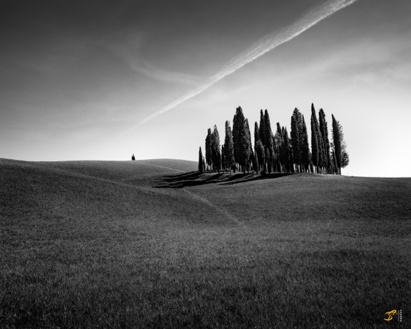 Cypres Trees, Toscana, Italy, 2022 - Black And White - Thomas Speck