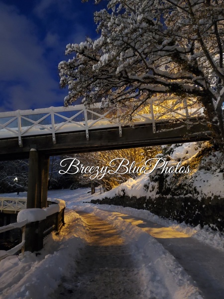 Breezy Blue Christmas - Christmas - Chinelo Mora