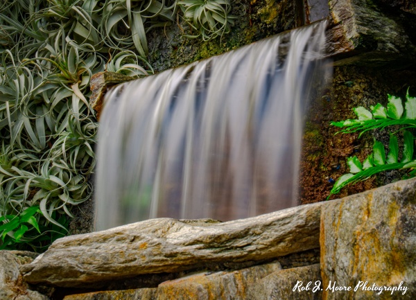 Waterfall 01 - Longwood Gardens 2020 - Flowers & Gardens - Robert Moore Photography 