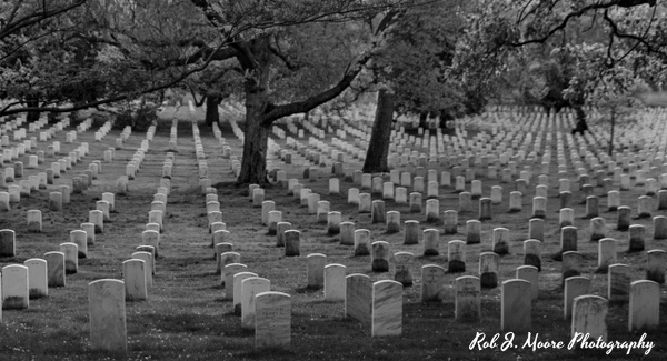 2019 Arlington 01 - Arlington National Cemetery - Robert Moore Photography 