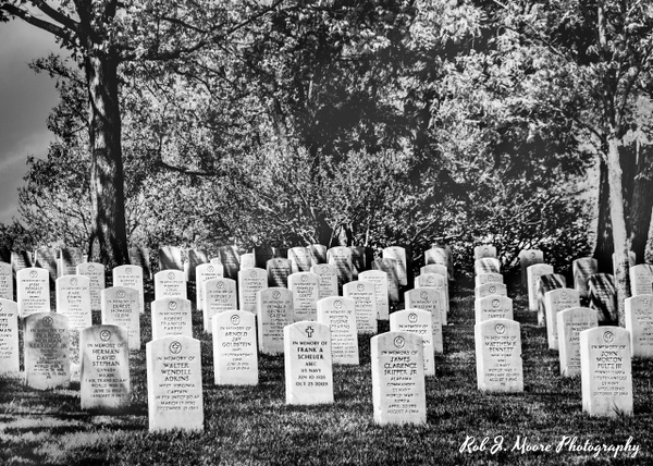 2019 Arlington 018 - Arlington National Cemetery - Robert Moore Photography